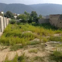 زمین-مسکونی-در-شهر-صادق-آباد-تنگراه-جنگل-گلستان