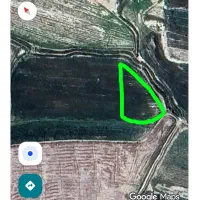 فروش زمین کشاورزی دررامهرمز