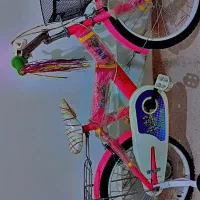 دوچرخه قیمت پایین