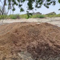 باغ