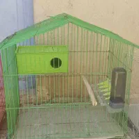 قفس|لوازم جانبی حیوانات|یاسوج, |دیوار