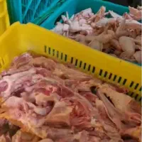 اسکلت مرغ غذای سگ و گربه تازه و بهداشتی خمیر مرغ