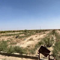 زمین کشاوزی|فروش دفتر صنعتی، کشاورزی، تجاری|هرند, |دیوار