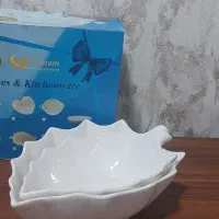 ظرف سرامیکی|ظروف سرو و پذیرایی|رشت, پارک شهر|دیوار