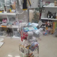 قفسه و صحفه