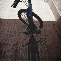 دوچرخه 24 مارک راپیدو|دوچرخه، اسکیت، اسکوتر|بیرجند, |دیوار