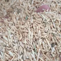 نهاده دامی|عمدهفروشی|سلفچگان, |دیوار