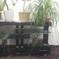 میز تلوزیون سالم تمیز ب علت کمبود جا