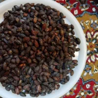 ابغوره|خوردنی و آشامیدنی|تبریز, |دیوار