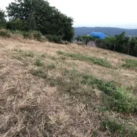 فروش زمین در یکی از بهترین لوکیشنهای ساری|فروش زمین و ملک کلنگی|ارطه, |دیوار