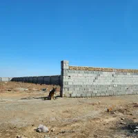 زمین ۲۵۰۰ متری در چناران