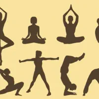 پارتنر ورزشی یوگا