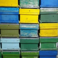 کندوخالی وسیله زنبور داری خیلی ارزان میدم