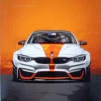 جویای کار هستم،راننده حرفه ای