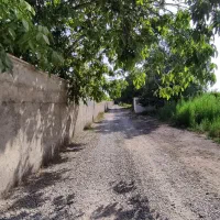 فروش باغ میوه اختصاصی در شهرک تهرانی نشین