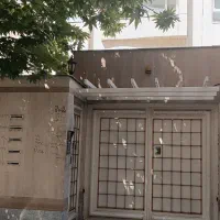 ویلایی-500متری-رهن-و-اجاره