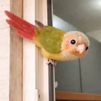 سلامت و رام دارای تمامی لوازم زیرقیمت