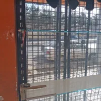 فروش قفسه ولوازم فروشگاهد|فروشگاه و مغازه|مشهد, آبادگران|دیوار