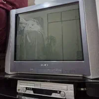 تلوزیون