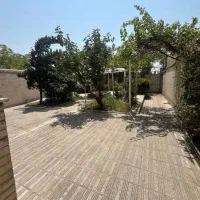 ۶۵۰متر۳ طبقه/۲۰اتاق/برگذراصلی/۱۰۰٪دسترسی|اجارهٔ خانه و ویلا|تهران, اباذر|دیوار