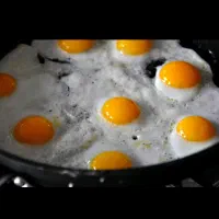 تخم مرغ تازه محلی