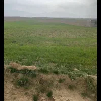 فروش-زمین-کشاورزی-و-باغ