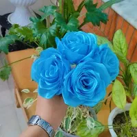 گل روبانی|گل مصنوعی|شاهین‌شهر, فیض|دیوار