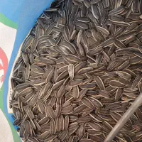 تخمه خام و بوداده چینی|خوردنی و آشامیدنی|خمینی‌شهر, |دیوار