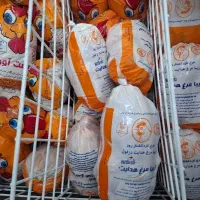 مرغ دزفول