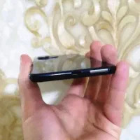 شیائومی mi 11 Lite|موبایل|زرند, |دیوار