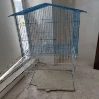 قفس پرنده