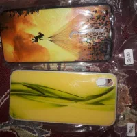 گاردگوش همه تر