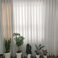 پرده با دستک مخمل طلاکوب|پرده، رانر، رومیزی|قائن, |دیوار