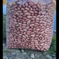 بادام زمینی درجه یک آجیلی