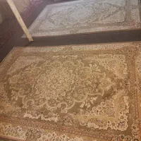 فرش ۶متری گل برجسته|فرش|مشهد, امام خمینی|دیوار