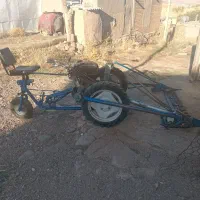 سرزنی پیاز با علف چین دروگر