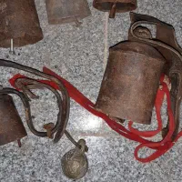 زنگوله|لوازم جانبی حیوانات|سبزوار, جهاد کشاورزی|دیوار