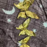 پروانه برنجی