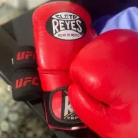 دستکش بوکس|تجهیزات ورزشی|بهارستان, |دیوار