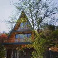 کلبه سوئیسی جنگل جواهرده