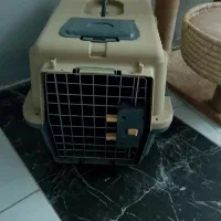 باکس حمل سگ و گربه|لوازم جانبی حیوانات|کرج, حسین‌آباد|دیوار