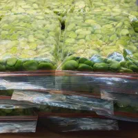 انواع محصولات خانگی بدون موادنگهدارنده|خوردنی و آشامیدنی|تهران, تهرانسر مرکزی|دیوار