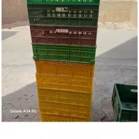 سبد سالم تمیز