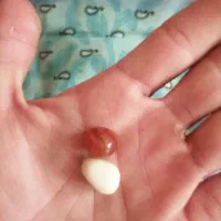 سنگ عقیق|کلکسیون اشیاء عتیقه|همایجان, |دیوار