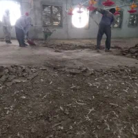 ۰۰۰۰|خدمات باغبانی و درختکاری|دوگنبدان, |دیوار