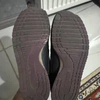 کفش|کیف، کفش، کمربند|تبریز, |دیوار