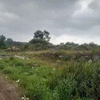زمین-با-نمای-جنگل-دهکده-کتی-متری-10-میلیون