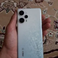 شیامی پوکو اف 5