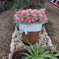 گل رز هلندی / باکس گل / دسته گل|گل و گیاه طبیعی|شیراز, گلشن|دیوار
