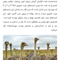 روغن شترمرغ|آرایشی، بهداشتی، درمانی|محمدشهر, شهرک چمران|دیوار